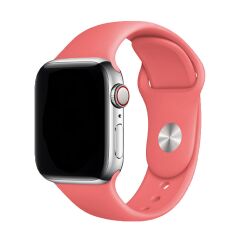 E2M CLASSIC SİLİKON APPLE WATCH KORDON 38-40-41MM YAVRUAĞZI