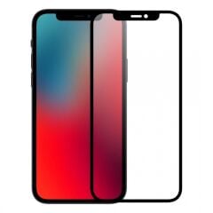 BİNANO PRIVACY ANTIDUST IPHONE 12 PRO MAX EKRAN KORUYUCU